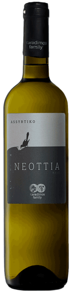 Οικογένεια Καραδήμος Νεοτιά 2023